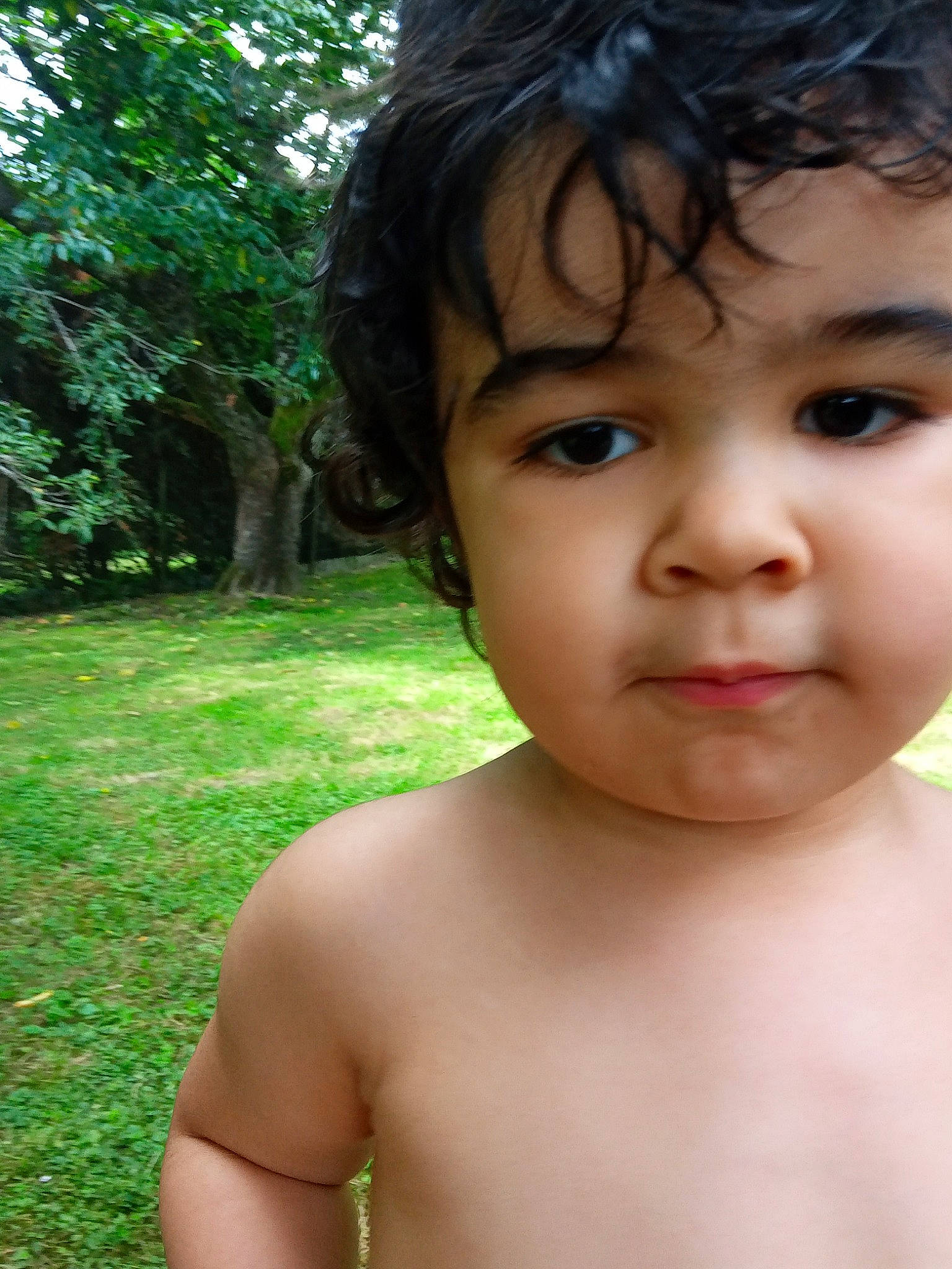 Lukas a rejoint le concours — aidez-le/la à gagner de superbes lots ! cheek, chest, eye, eyebrow, eyelash, forehead, green, hair, happy, iris, lip, mouth, neck, nose, people_in_nature, person, plant, skin, toddler, tree