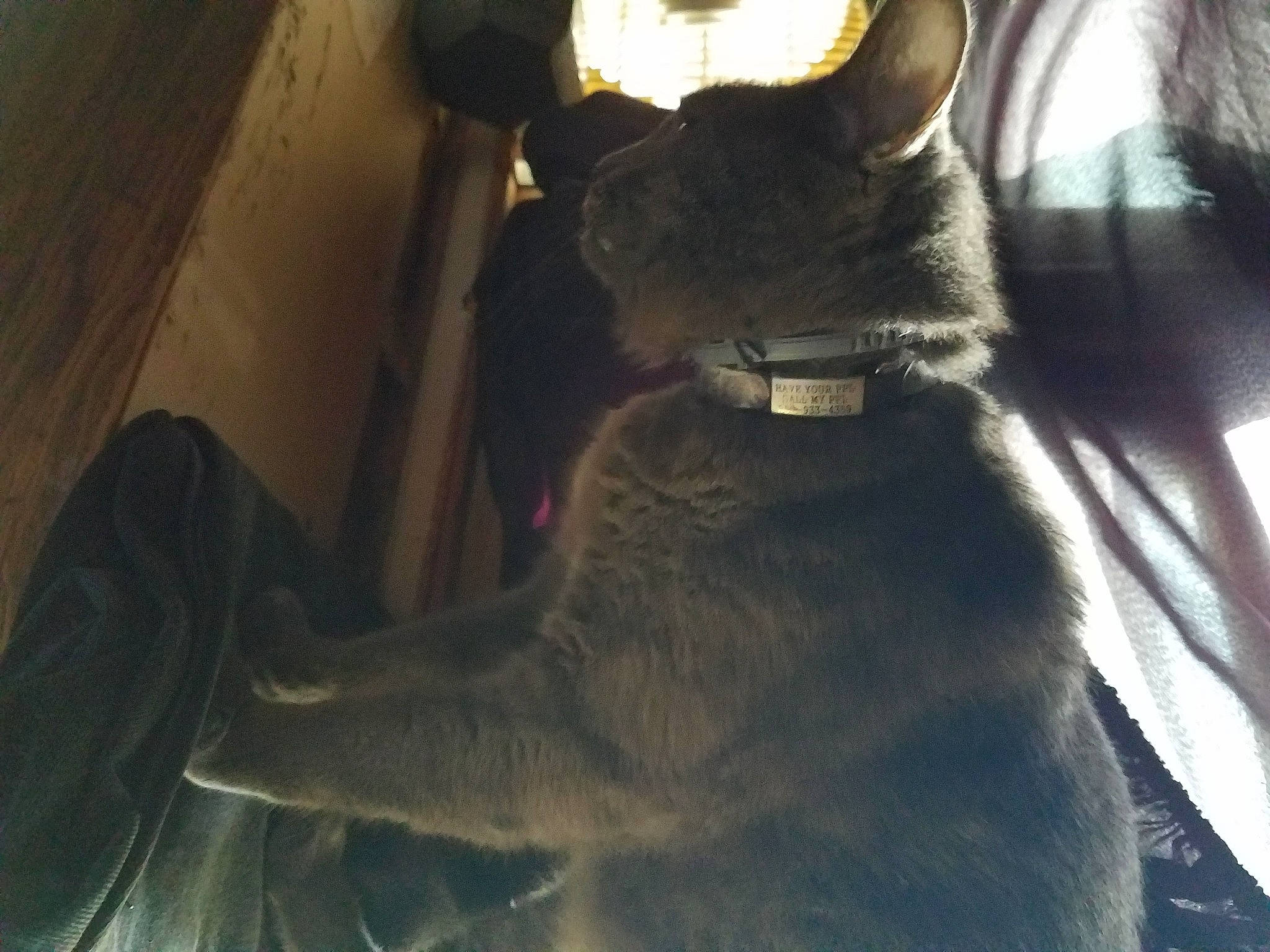 Melo is registered to the contest to win money with this photo: fictional_character, photography