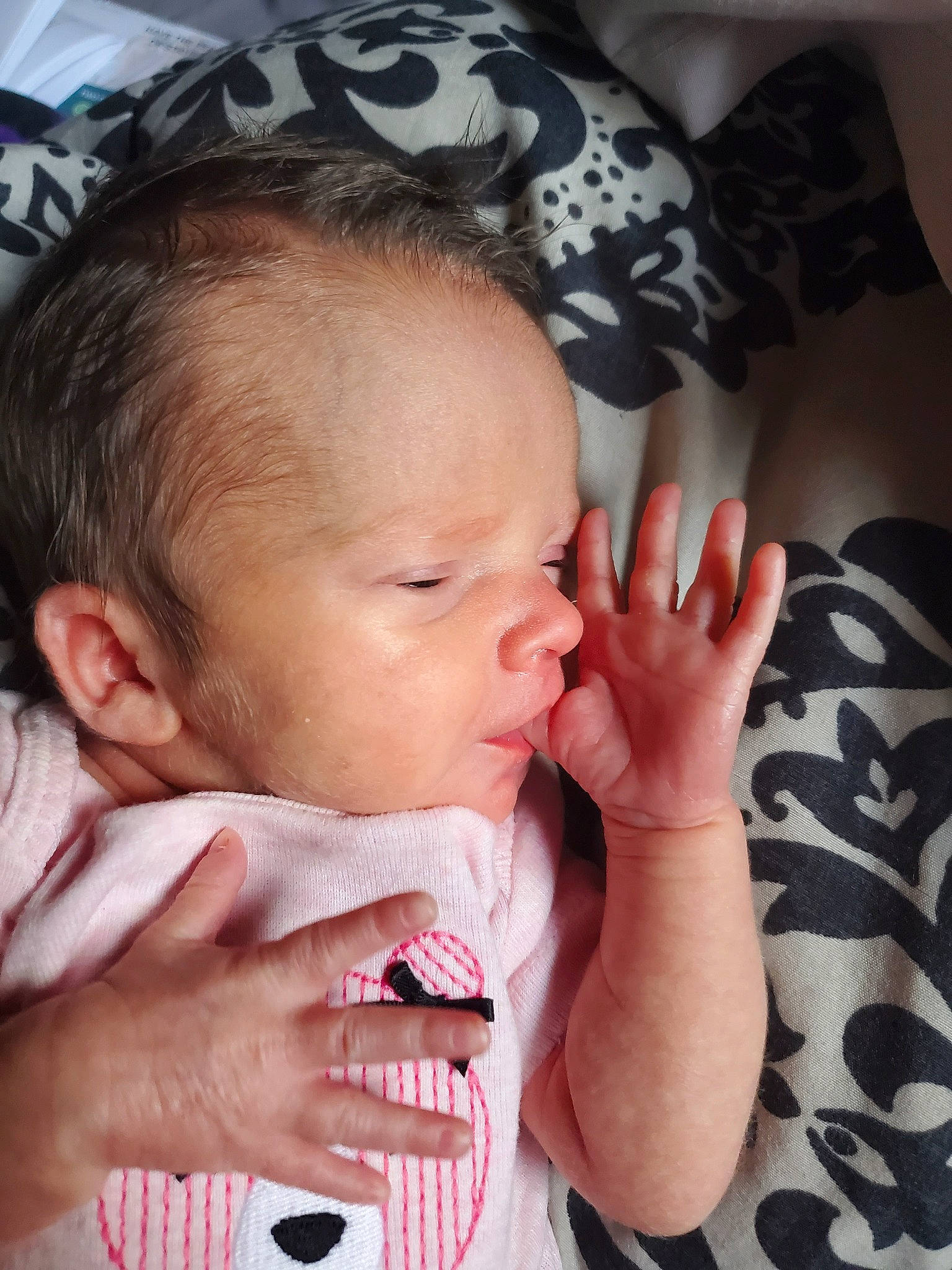 Daenerys joined the competition — help win amazing prizes! baby, cheek, child, ear, eye, face, finger, forehead, hand, head, lip, mouth, nail, nose, person, skin, toddler
