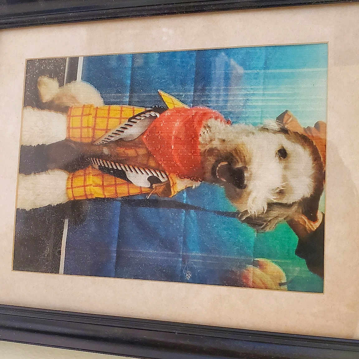 Mikey is registered to the contest to win money with this photo: art, artwork, carnivore, companion_dog, creative_arts, dog, exhibition, fawn, illustration, paint, painting, picture_frame, rectangle, room, sporting_group, still_life, visual_arts, watercolor_paint, window, wood