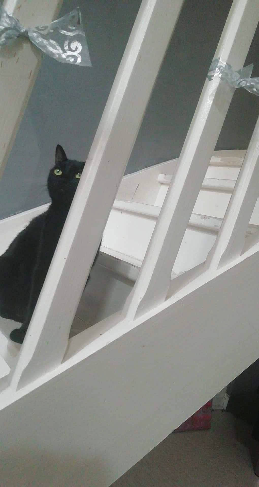 Pekka a rejoint le concours — aidez-le/la à gagner de superbes lots ! architecture, ceiling, daylighting, design, handrail, stairs, window