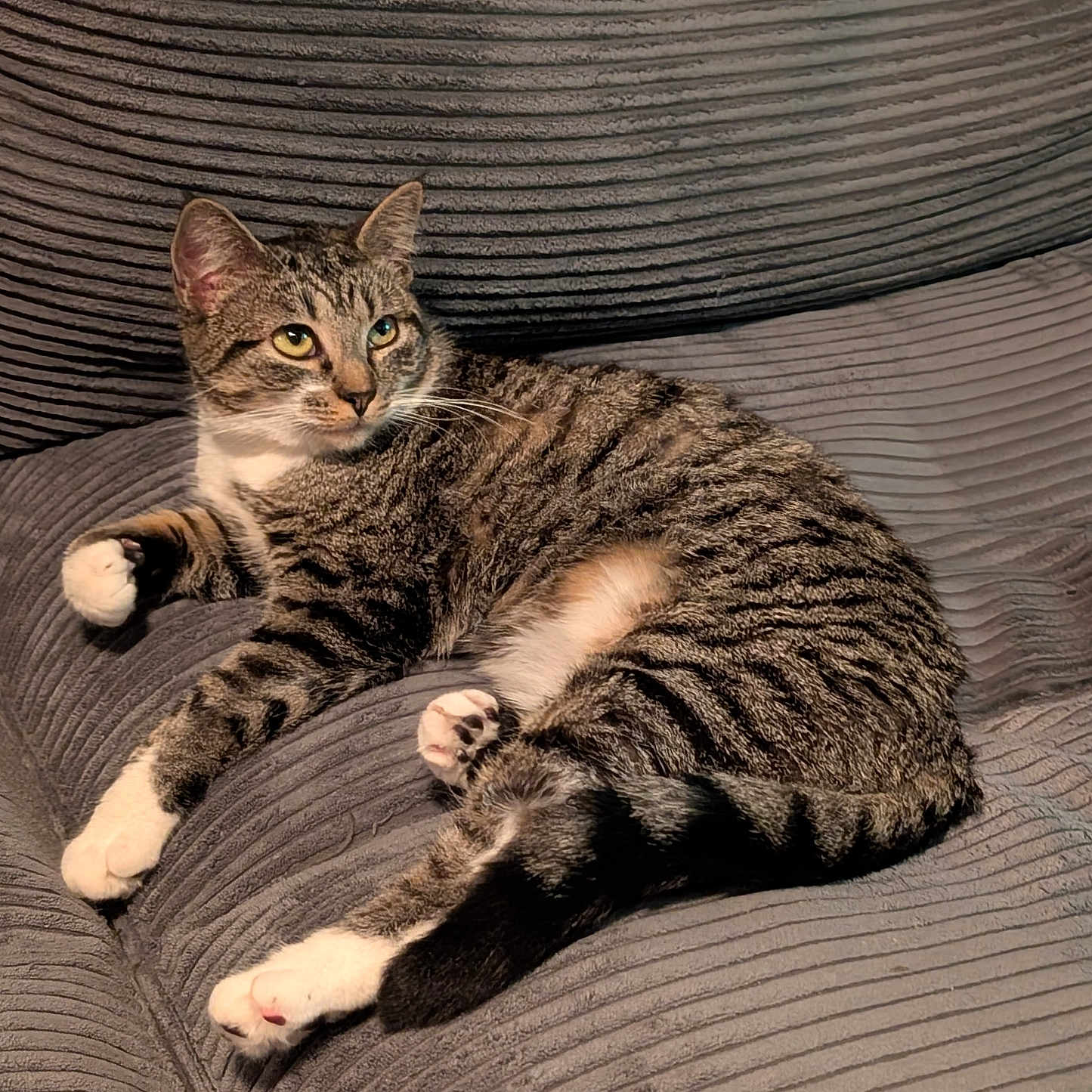 Zoey