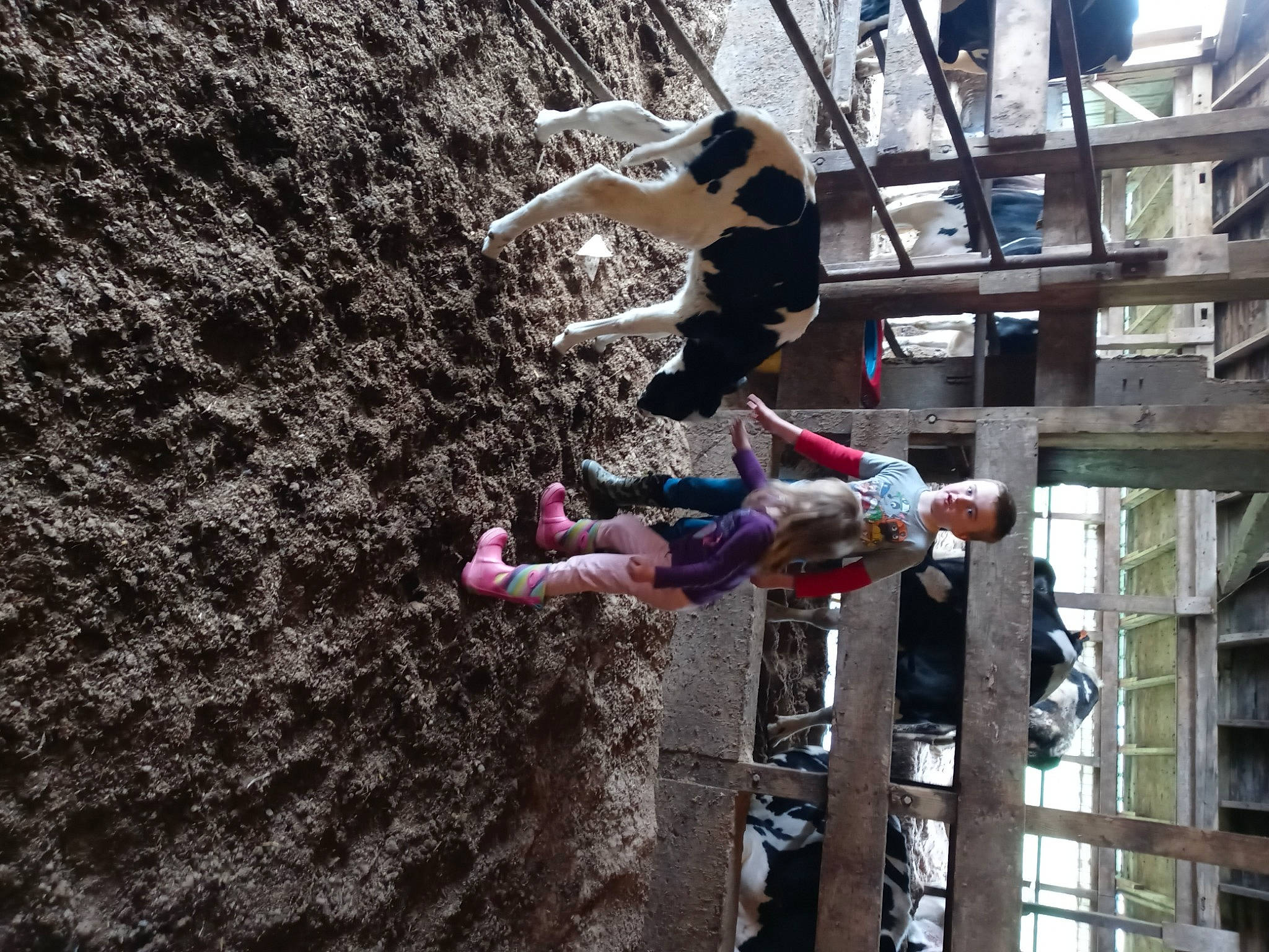 Carson is registered to the contest to win money with this photo: adventure, art, climbing, climbing_harness, competition, extreme_sport, fun, leisure, person, plant, recreation, rock, rope, soil, sport_climbing, tire, tree, trunk, wood