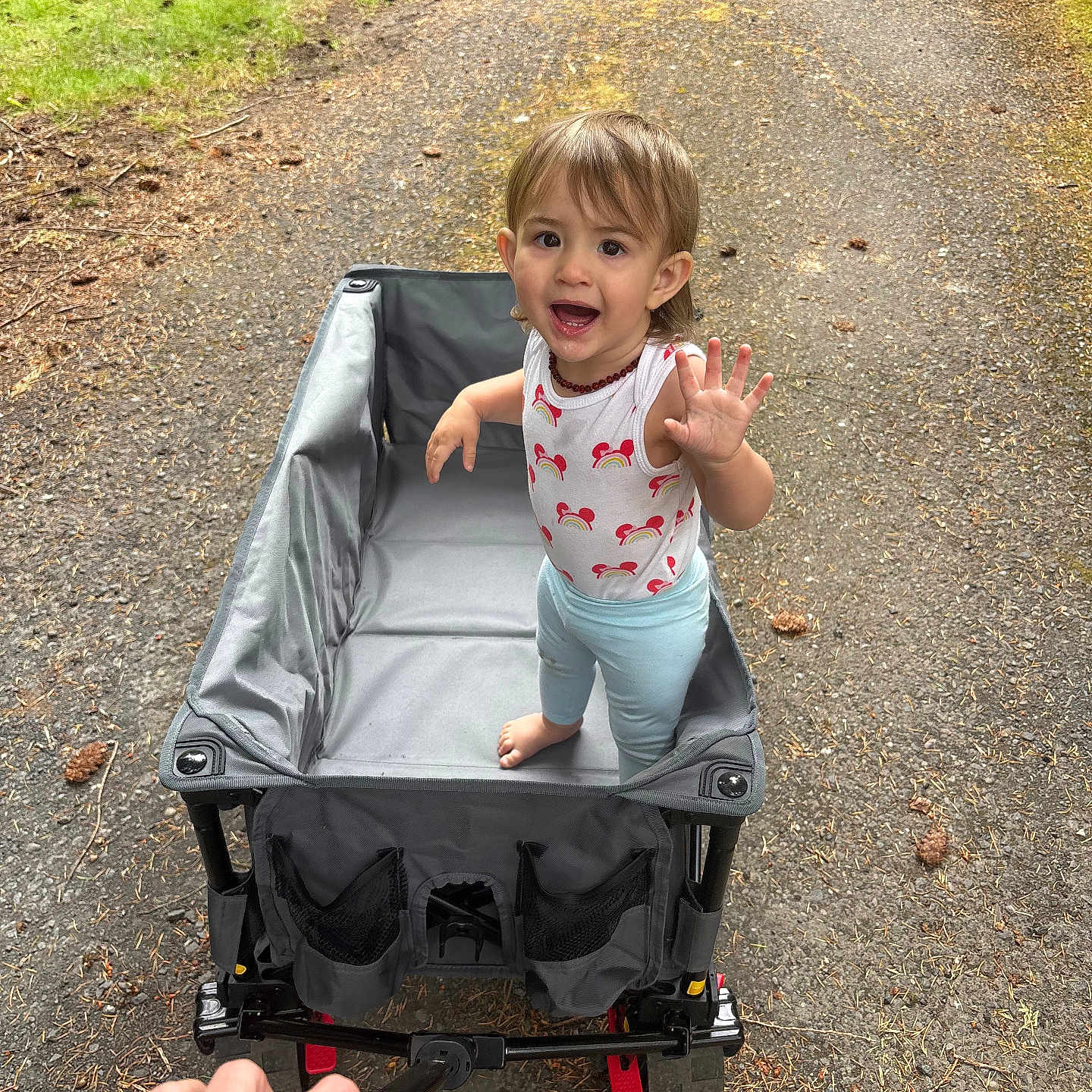 Rylee M Fasano is registered to the contest to win money with this photo: barefoot, child, clothing, daytime, dog, forest, grass, hand, happy, nature, outdoor, path, person, playful, smiling, toddler, toy, wagon, walking, waving