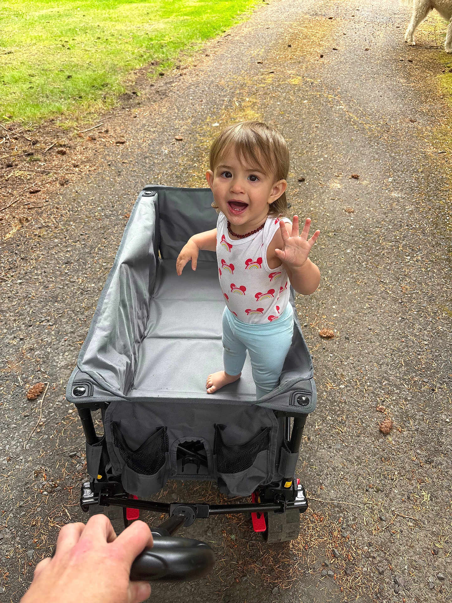 Rylee M Fasano is registered to the contest to win money with this photo: toddler, child, wagon, barefoot, smiling, waving, outdoor, path, forest, grass, hand, dog, toy, clothing, person, happy, nature, walking, playful, daytime