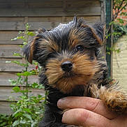 Gus a rejoint le concours — aidez-le/la à gagner de superbes lots !