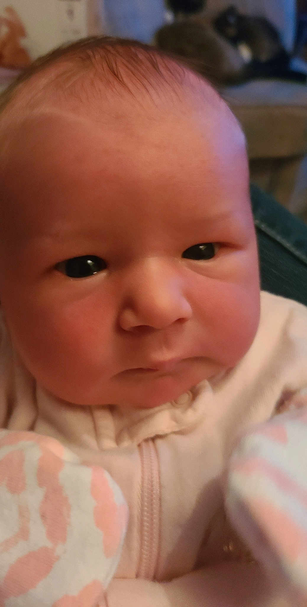 Madison
