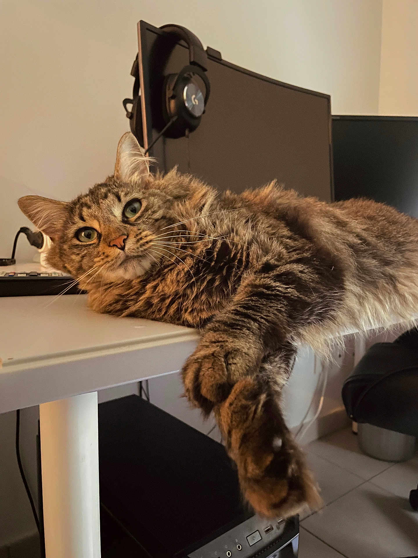 Zena