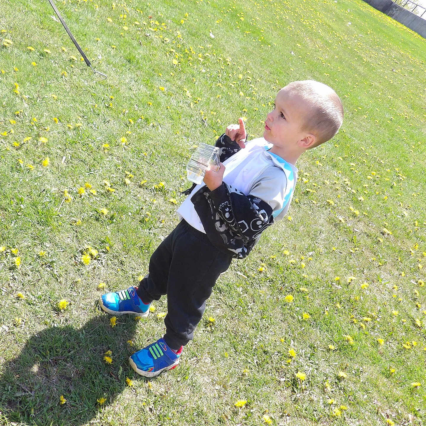 Blane is registered to the contest to win money with this photo: backyard, boy, child, clothing, face, footwear, grass, head, lawn, male, nature, outdoors, pants, park, person, photography, plant, portrait, shoe, walking