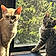 Lilly And Coco