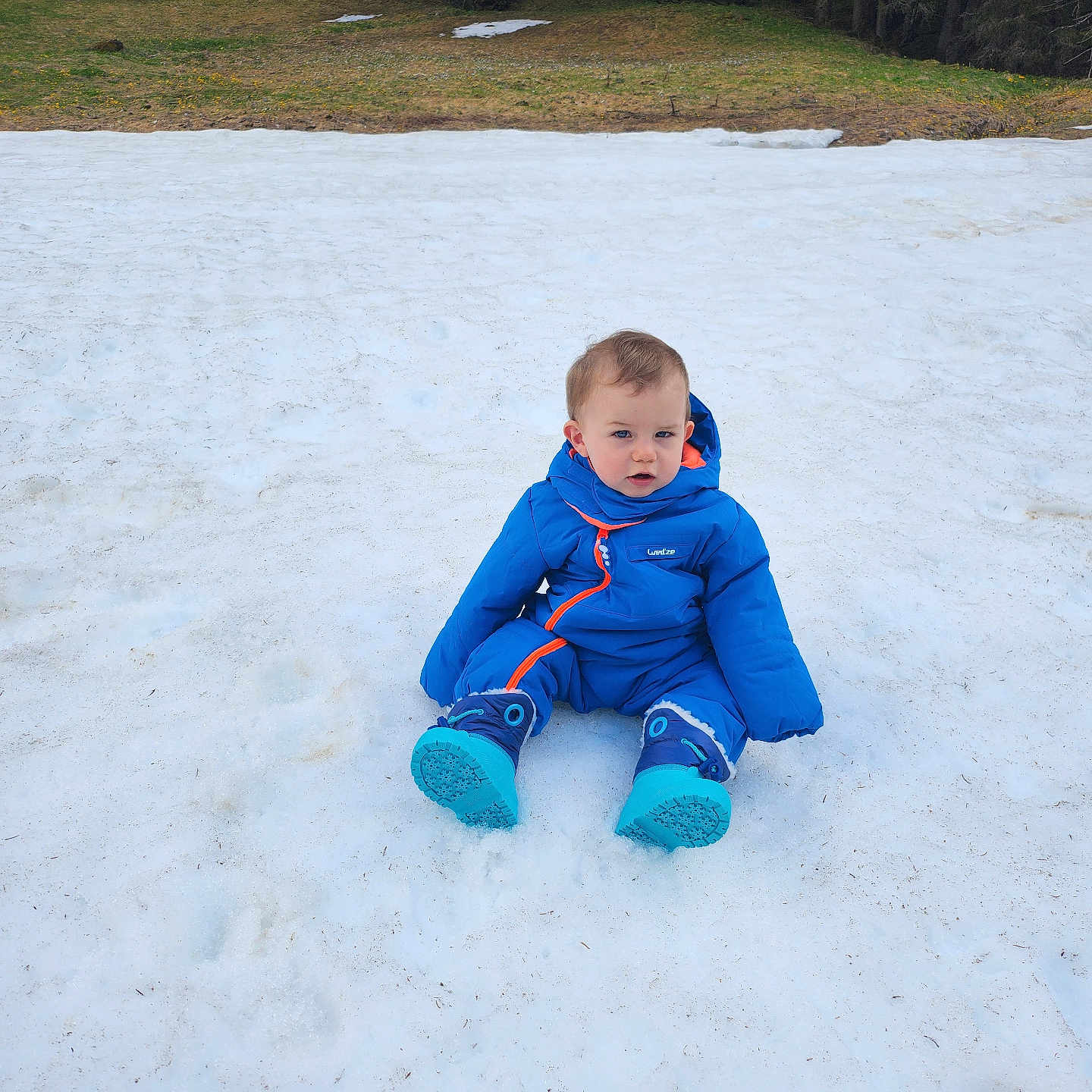 Eliott participe au concours pour gagner de l'argent avec cette photo : adventure, blue_snowsuit, boots, child, cold, cute, explorer, forest, grass, nature, outdoor, person, sitting, snow, snowy_ground, toddler, trees, winter, winter_clothing, young_child