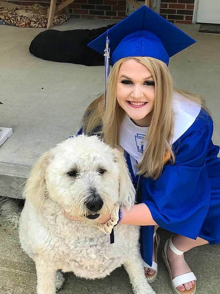 Scarlett is registered to the contest to win money with this photo: academic_dress, academic_institution, blue, carnivore, companion_dog, dog, dog_breed, electric_blue, event, graduation, happy, labradoodle, mortarboard, scholar, small_terrier, smile, sporting_group, terrier, toy_dog, white