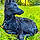 Harlow