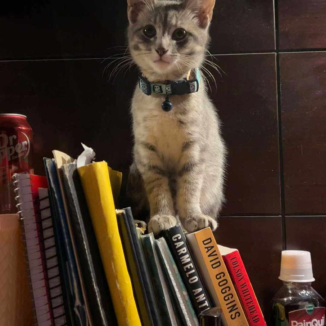 Luna