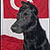 Ares