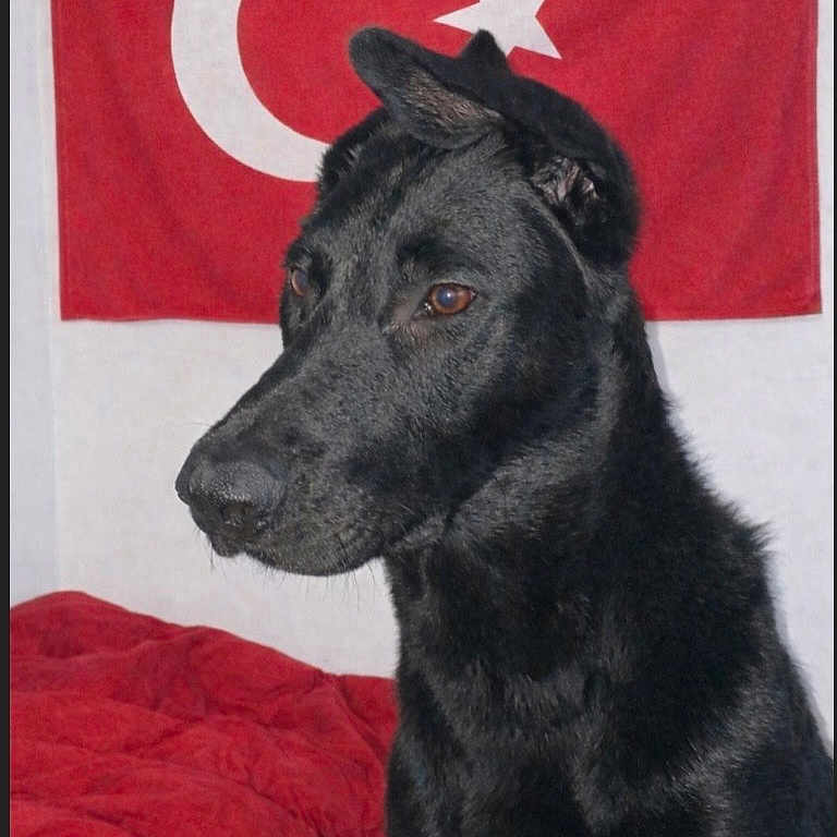 Ares