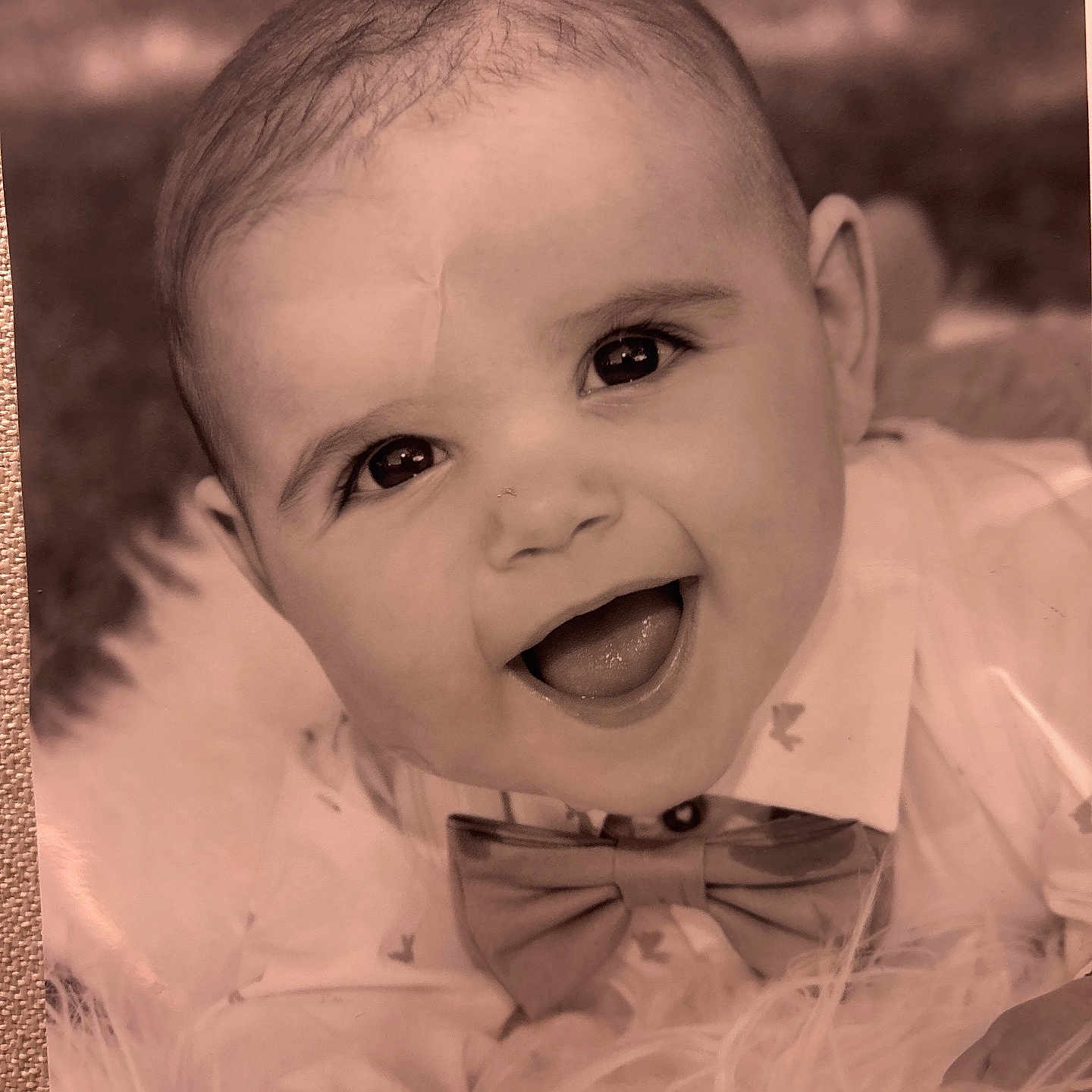 Jackson is registered to the contest to win money with this photo: baby, child, smiling, portrait, bow_tie, shirt, face, happy, infant, closeup, cute, soft_texture, fluffy, sepia, eyes, mouth, skin, head, clothing, person