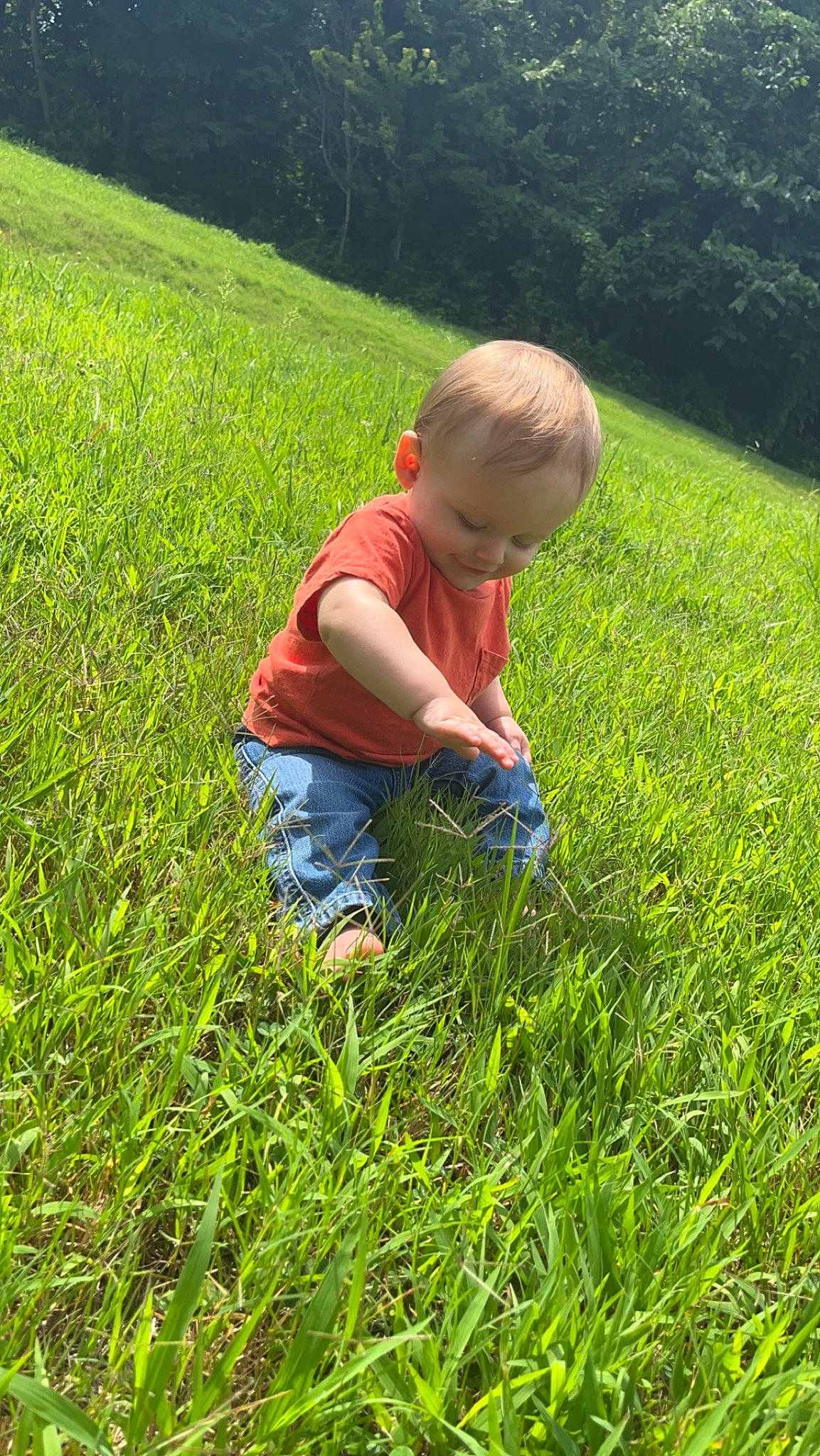 Chase is registered to the contest to win money with this photo: baby, baby_toddler_clothing, child, grass, grass_family, grassland, groundcover, happy, landscape, lawn, meadow, natural_landscape, people_in_nature, person, plant, prairie, shrub, sunlight, terrestrial_plant, toddler