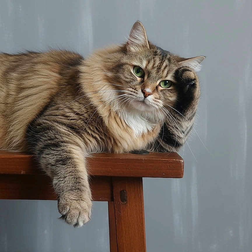 Nina
