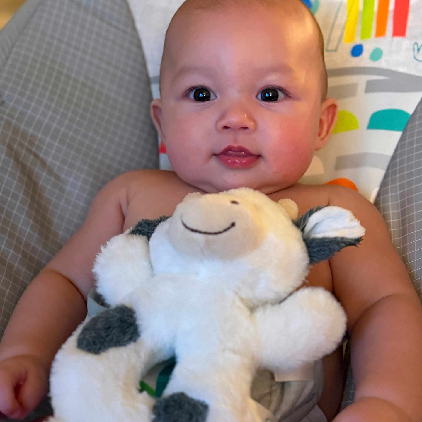 Jun is registered to the contest to win money with this photo: baby, child, stuffed_animal, plush_toy, colorful_background, rainbow, monkey, seat, cuddling, cute, infant, smiling, happy, indoors, portrait, chubby_cheeks, soft_toy, baby_seat, closeup, skin
