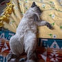 cat, sleeping, fluffy, blanket, yellow_fleece, patterned_blanket, indoor, cozy, relaxed, pet, animal, paw, tail, soft, feline, resting, bed, home, cute, domestic