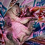 cat, sleeping, blanket, patterned_blanket, cozy, feline, paw, fur, resting, indoor, cute, relaxed, pet, animal, whiskers, tail, soft_texture, warm_lighting, comfort, peaceful