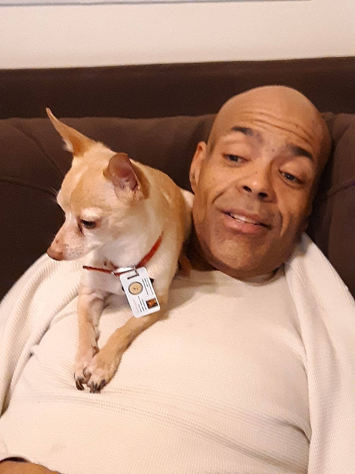 Gizmo joined the competition — help win amazing prizes! canidae, carnivore, chihuahua, comfort, companion_dog, corgi_chihuahua, dog, dog_breed, ear, fawn, fur, mammal, non_sporting_group, puppy, snout, sporting_group, toy_dog, whiskers, working_animal, wrinkle