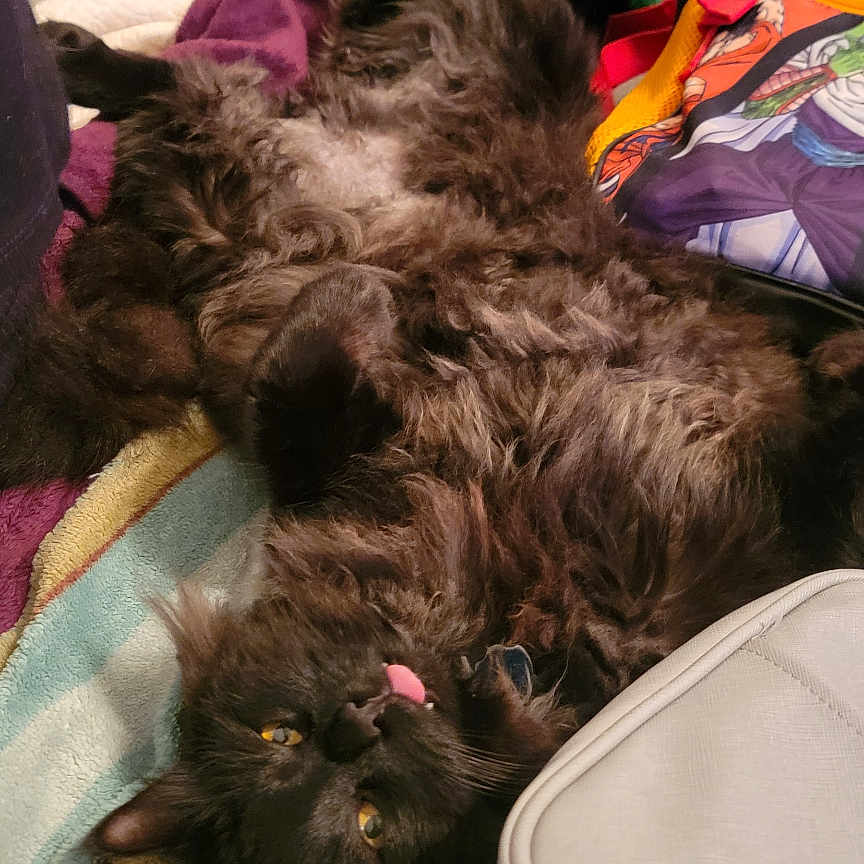 Jinx