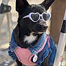 dog, black_dog, sunglasses, heart_shaped_sunglasses, denim_jacket, pink_clothing, pet, outdoor, sunny, fashion, cute, portrait, animal, canine, accessory, collar, closeup, sitting, shade, stylish