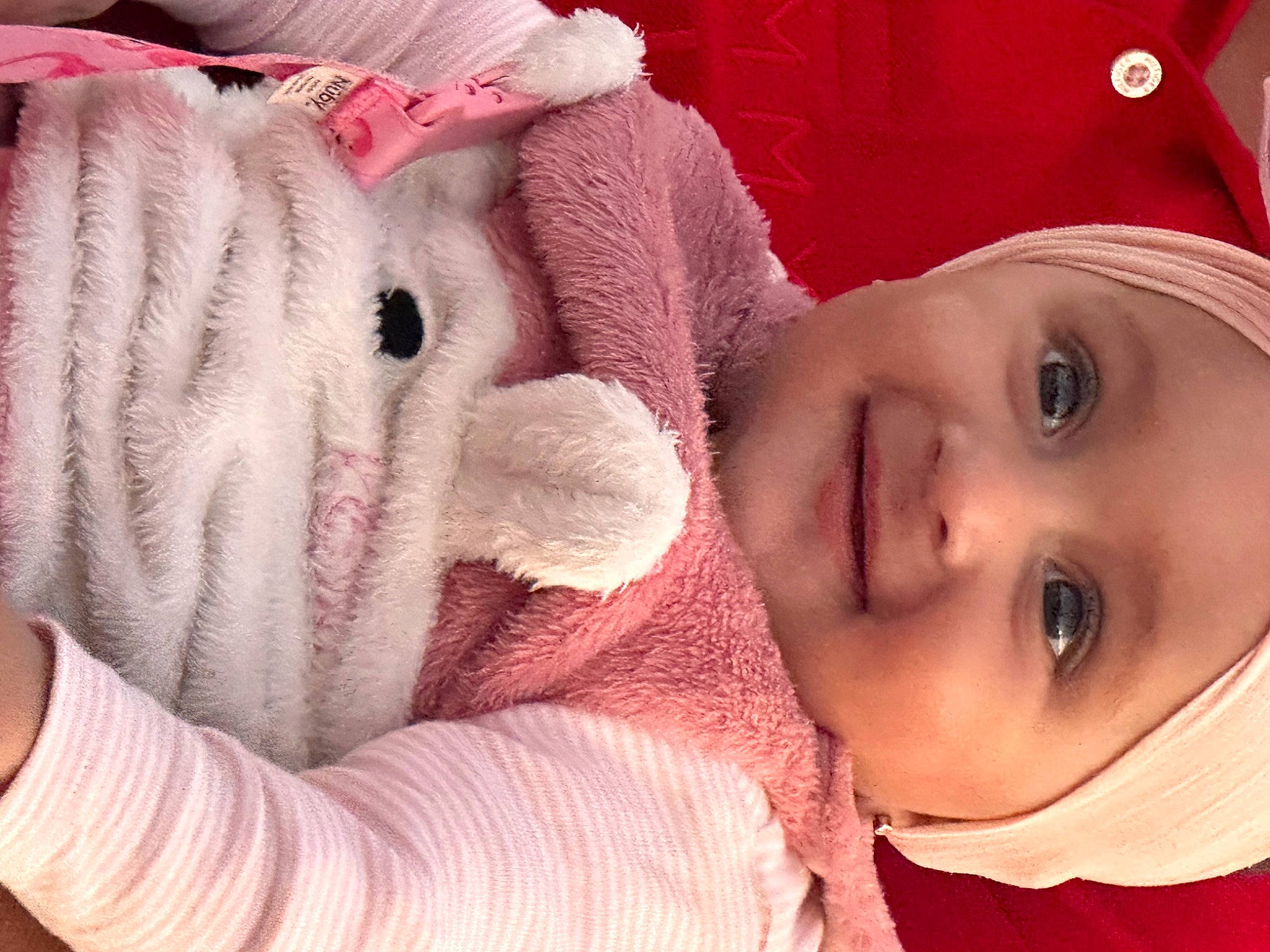 Amber is registered to the contest to win money with this photo: cap, cheek, chin, comfort, ear, eyelash, happy, headgear, headwear, human, joy, lip, mammal, mouth, nose, organ, person, pink, skin, smile