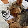 dog, sleeping, pet, cozy, person, grey_shirt, fur, small_dog, nap, resting, cute, animal, indoors, close_up, relaxation, cuddle, comfort, casual_clothing, hair, human