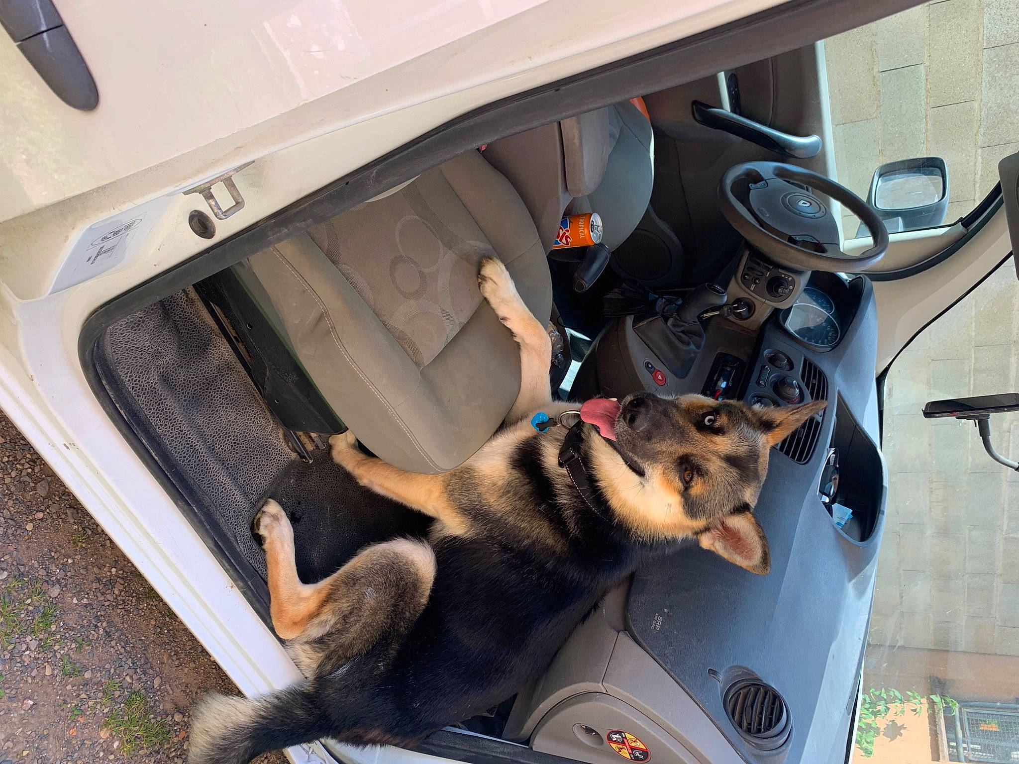 Ulysse participe au concours pour gagner de l'argent avec cette photo : auto_part, automotive_design, automotive_exterior, automotive_lighting, automotive_tire, automotive_wheel_system, bumper, car, car_seat, car_seat_cover, carnivore, felidae, fender, gas, hood, motor_vehicle, personal_luxury_car, steering_wheel, vehicle, vehicle_door