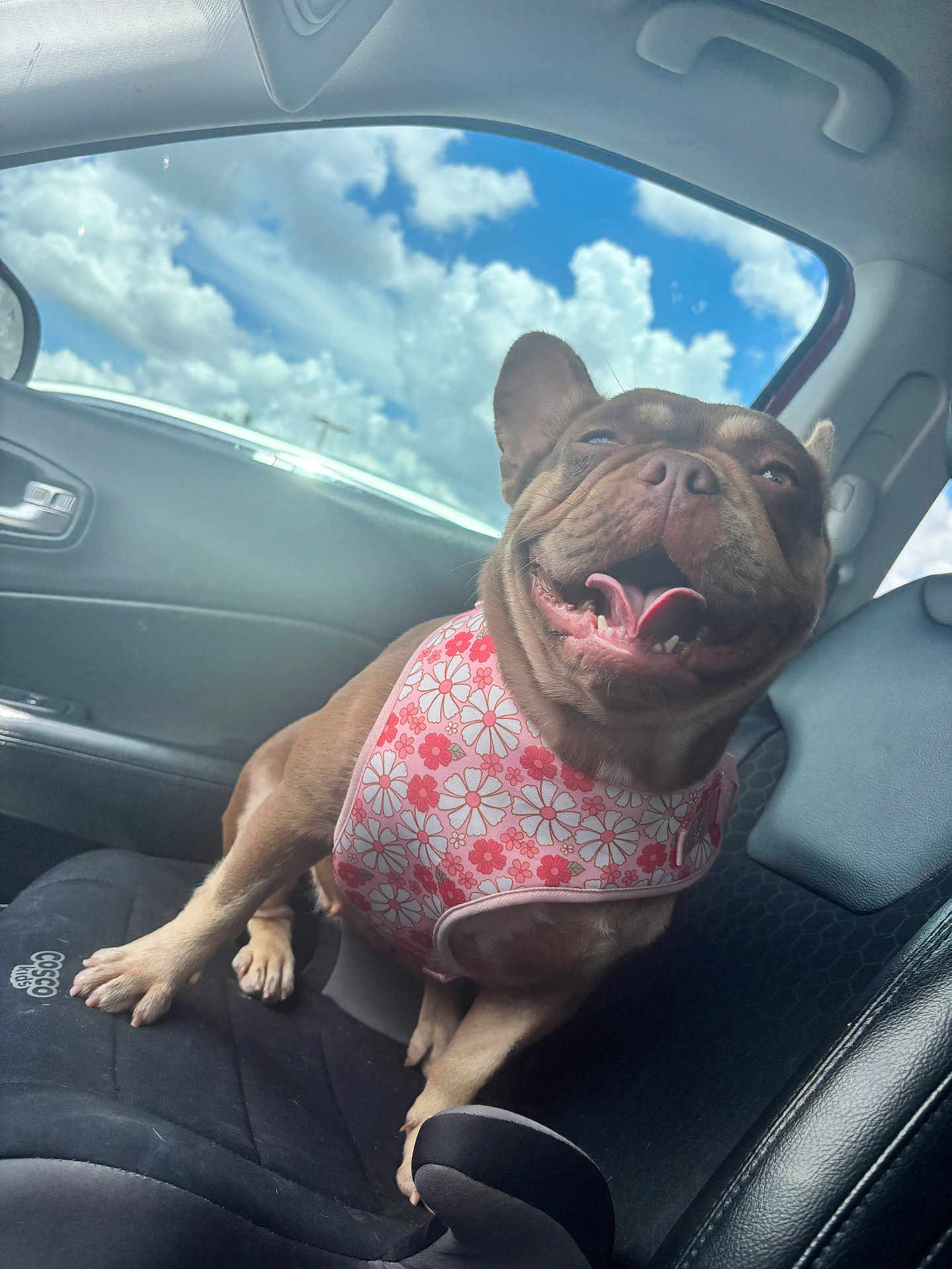 Dulce