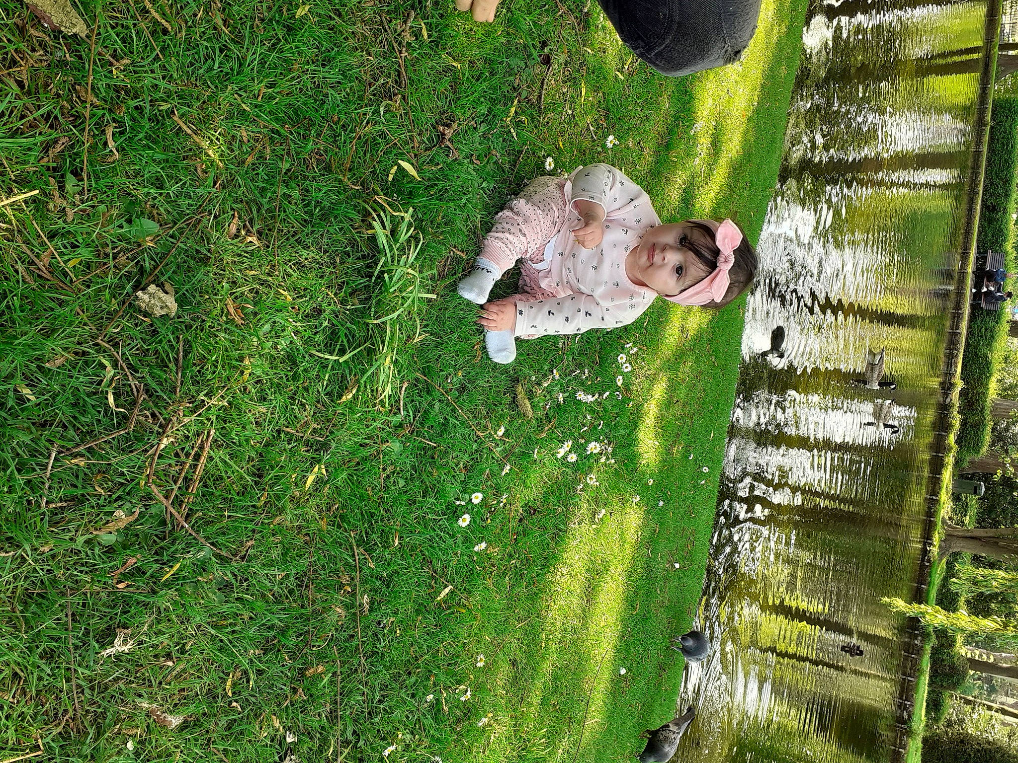 Rania a rejoint le concours — aidez-le/la à gagner de superbes lots ! adaptation, grass, headwear, person, plant, wildlife