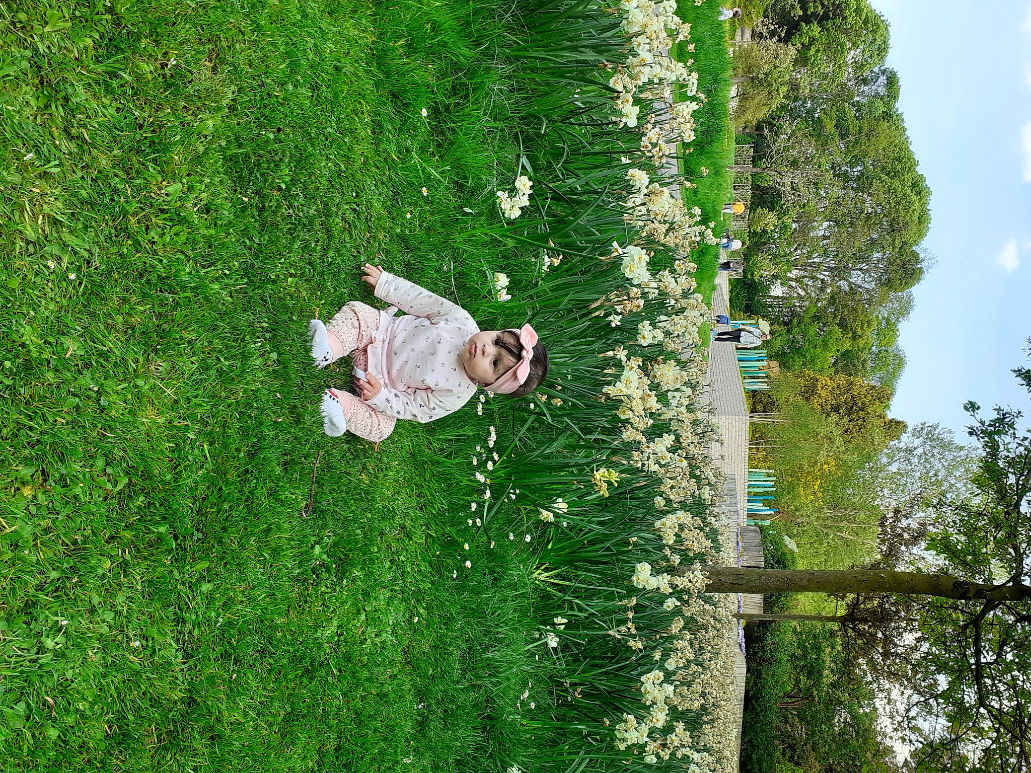Rania participe au concours pour gagner de l'argent avec cette photo : flower, grass, green, headwear, leisure, person, plant, shrub, tree, wildflower