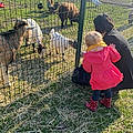 Anne-Marie B.