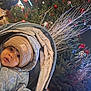 Daniel participe au concours pour gagner de l'argent avec cette photo : baby, child, christmas_tree, cozy, cute, face, festive, hat, holiday_decorations, jacket, lights, night, ornaments, outdoor, person, portrait, seasonal, stroller, winter, winter_clothing