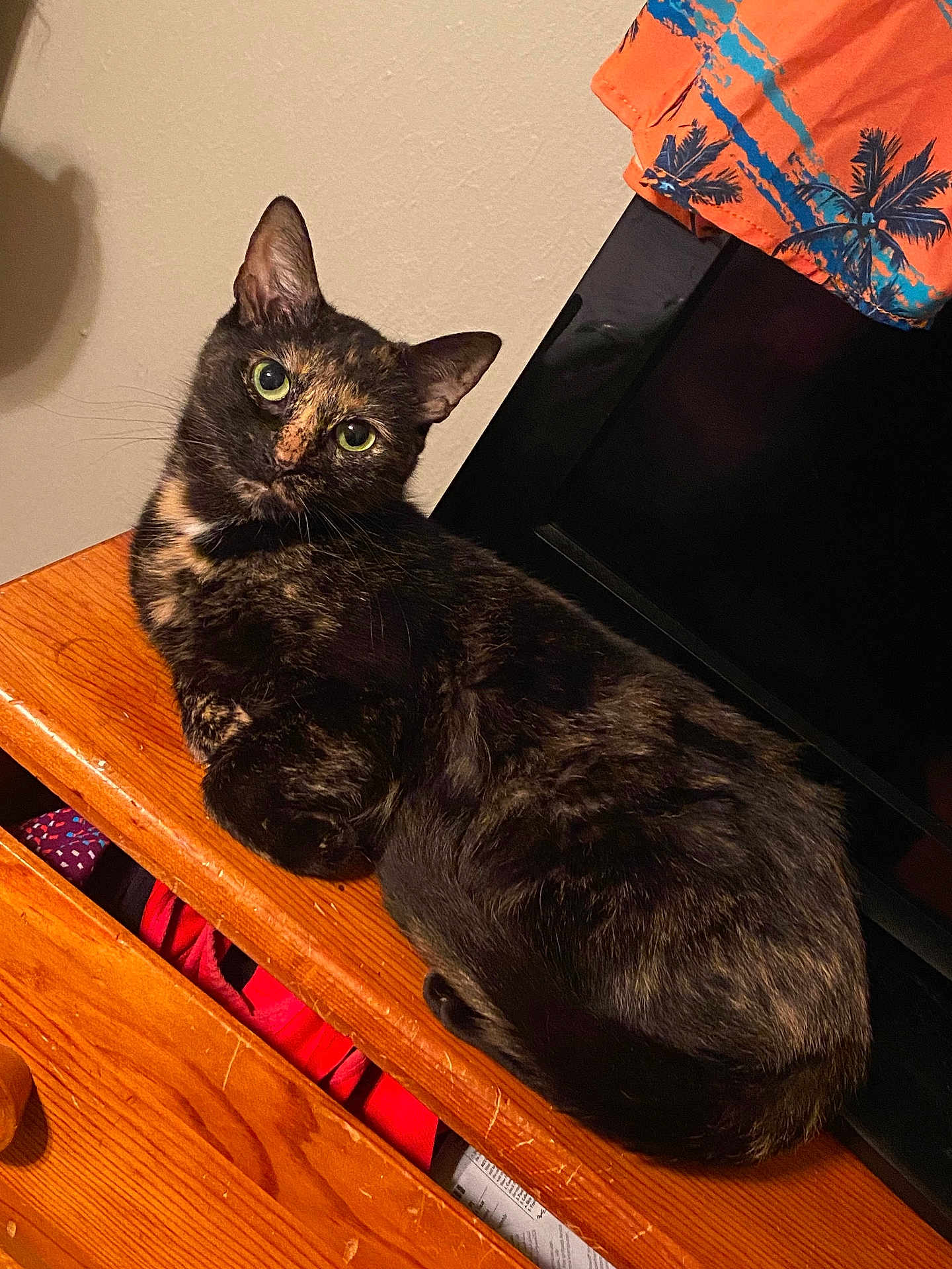 Lily