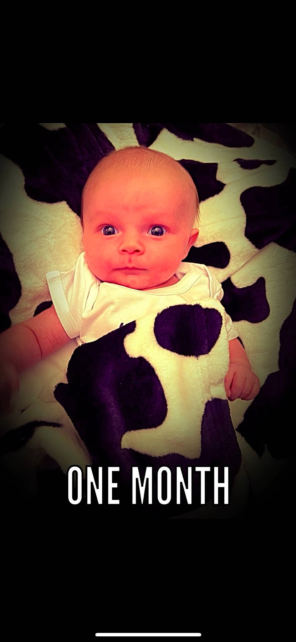 Shelby is registered to the contest to win money with this photo: art, baby, baby_toddler_clothing, carmine, child, cloud, cool, flash_photography, font, happy, illustration, magenta, pattern, person, pink, room, sitting, sleeve, t_shirt, tints_and_shades