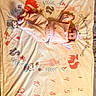 animal_illustrations, baby, baby_boy, baby_girl, child, cute, deer, fabric, fox, headband, infant, lying_down, milestone, milestone_blanket, months, numbers, owl, pink_clothing, portrait, soft_light