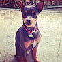 Youki participe au concours pour gagner de l'argent avec cette photo :