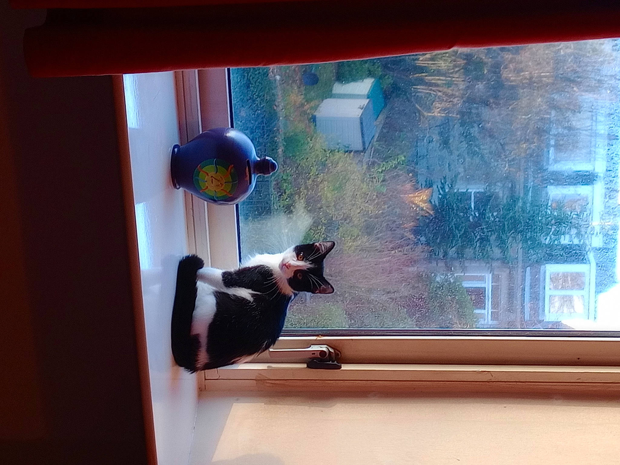 Elijah joined the competition — help win amazing prizes! daylighting, display_device, door, fixture, glass, hardwood, house, interior_design, metal, rectangle, room, sash_window, shade, tints_and_shades, visual_arts, window, window_covering, window_treatment, wood