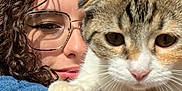Paillette a rejoint le concours — aidez-le/la à gagner de superbes lots ! cat, kitten, person, glasses, curly_hair, denim, tattoo, indoor, close_up, pet, whiskers, paw, portrait, eyeglasses, home, face, brown_tabby, white_fur, selfie, resting