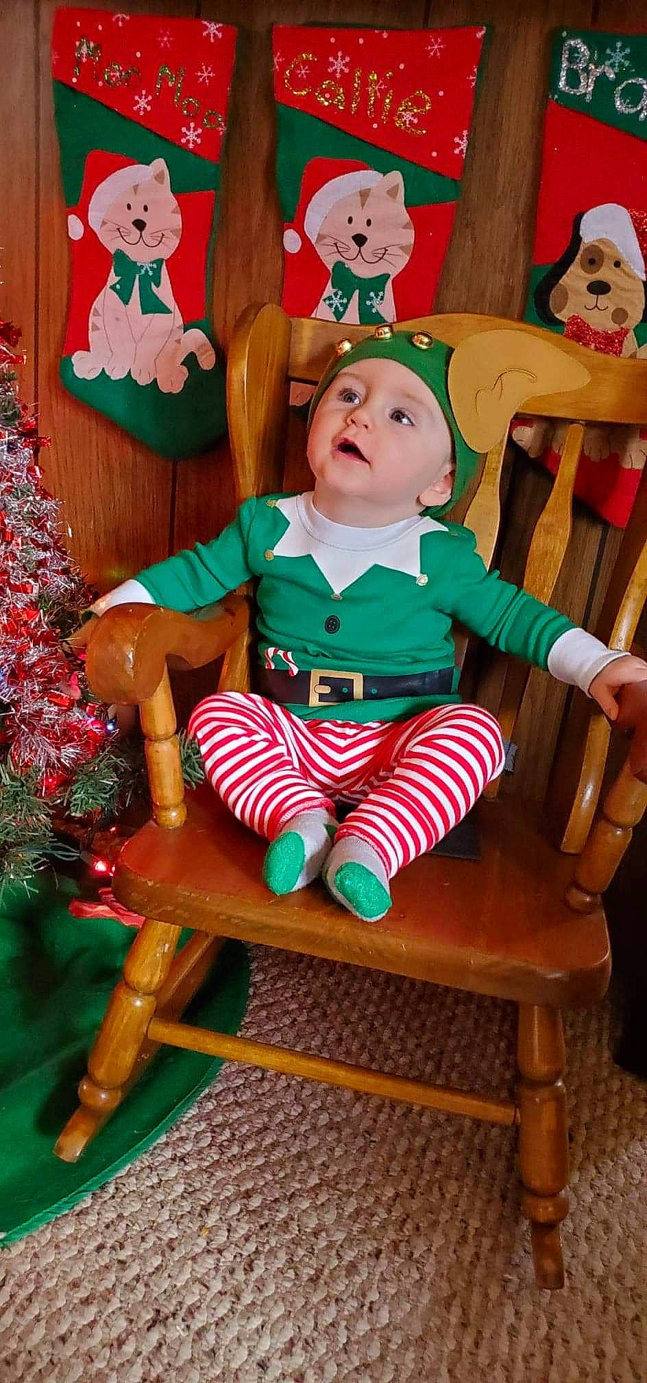 Odin is registered to the contest to win money with this photo: baby_products, baby_toddler_clothing, baby_toys, christmas, christmas_decoration, christmas_eve, christmas_ornament, christmas_tree, conifer, costume_accessory, costume_hat, fictional_character, headwear, holiday, holiday_ornament, interior_design, lap, ornament, person, sitting