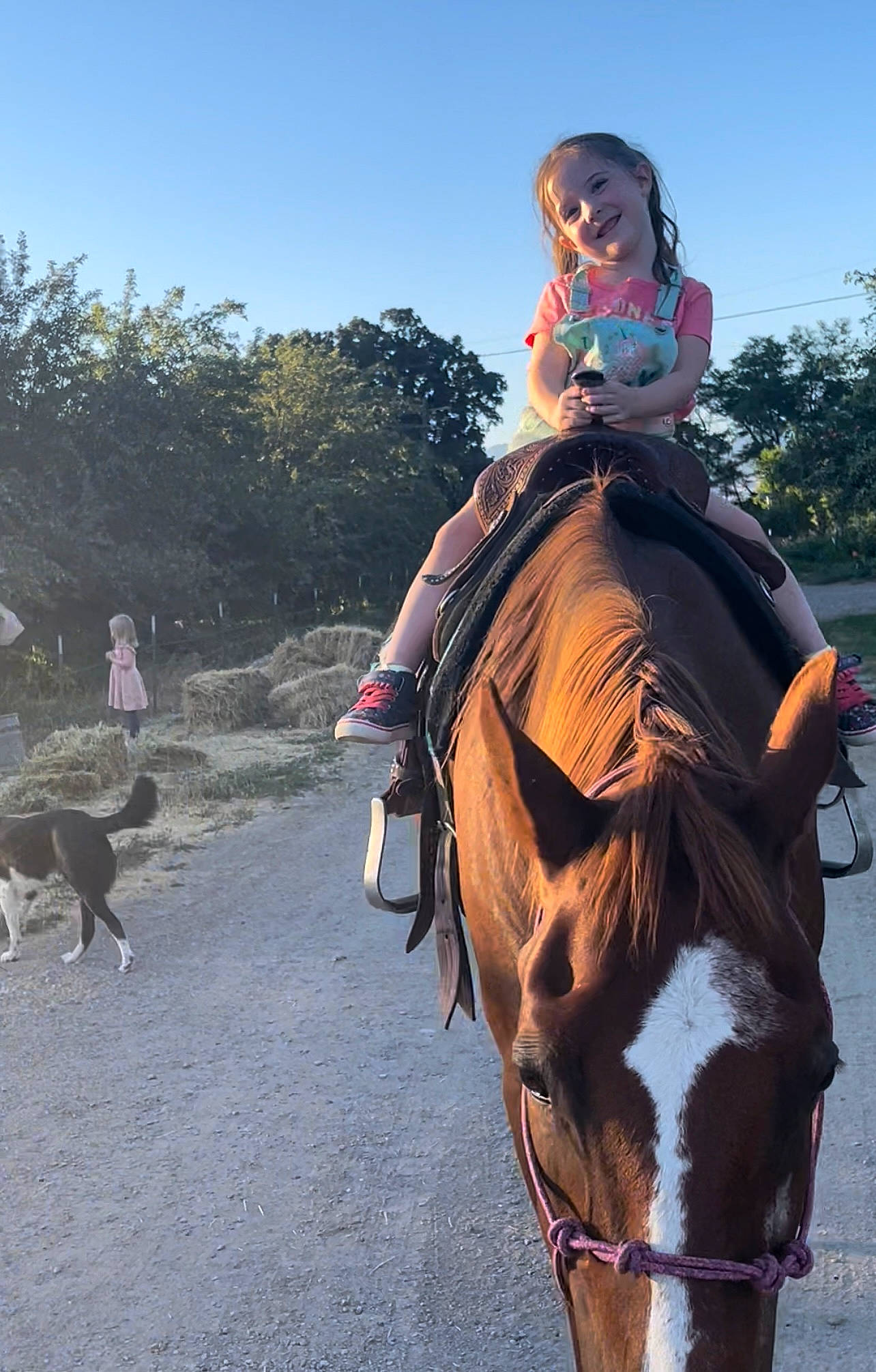 Layanna joined the competition — help win amazing prizes! bit, bridle, equestrianism, fawn, horse, horse_supplies, horse_tack, joy, landscape, mammal, pack_animal, person, plant, recreation, rein, saddle, sky, temple, travel, tree