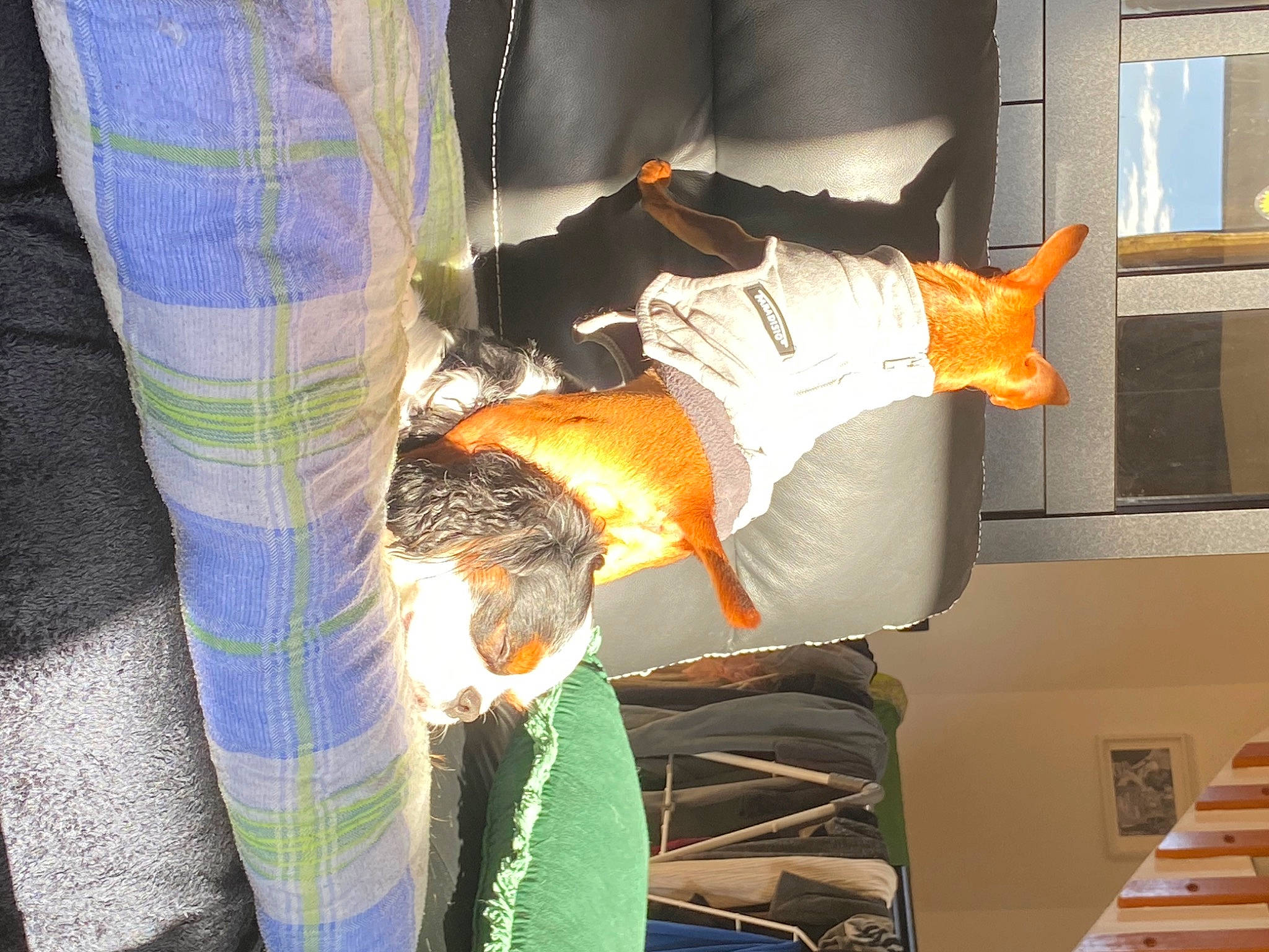 Grogu participe au concours pour gagner de l'argent avec cette photo : art, elbow, engineering, fun, human_leg, machine, orange, pattern, room, safety_glove, t_shirt, textile, window, wood