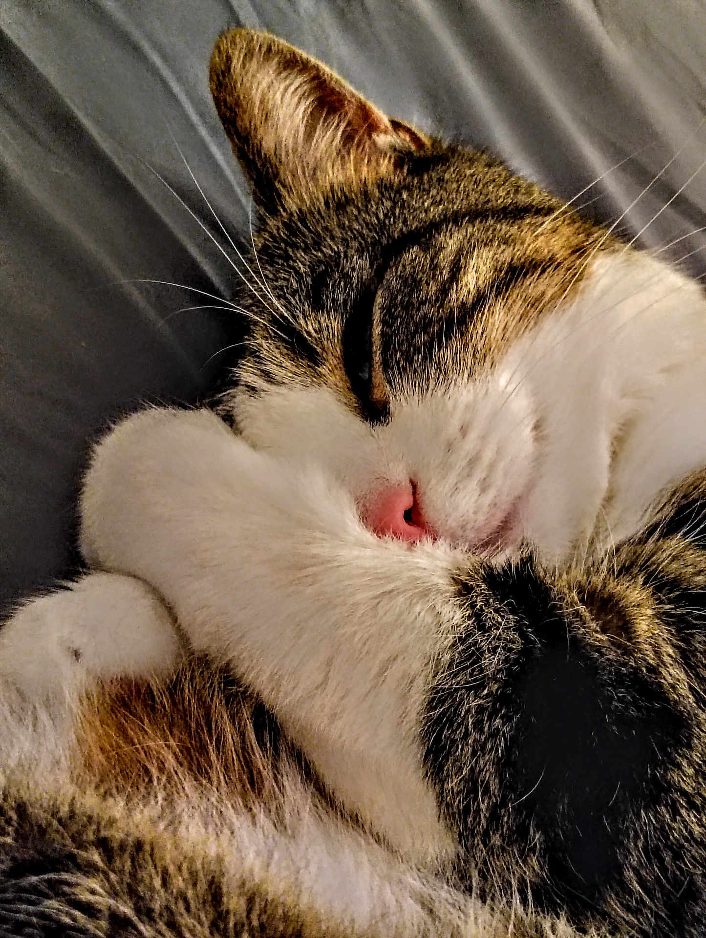 Clem