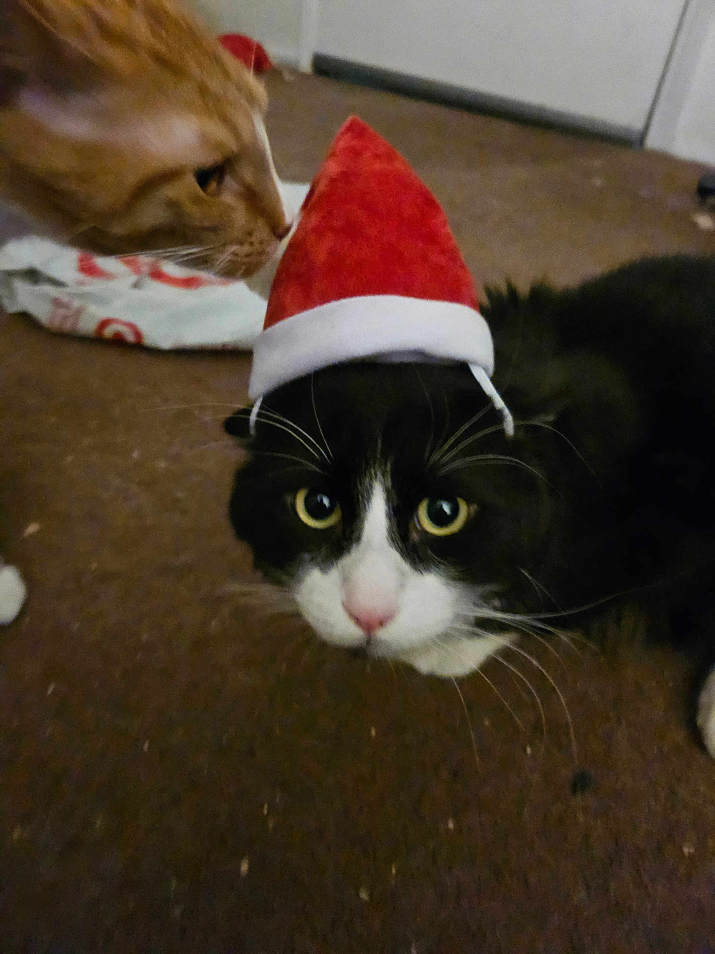 Nacho