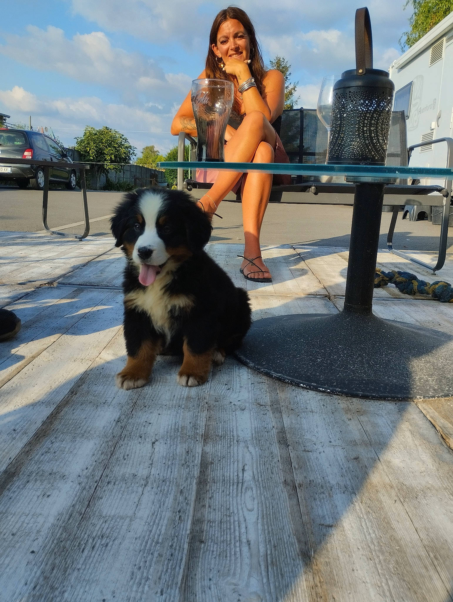 Usher participe au concours pour gagner de l'argent avec cette photo : border_collie, canidae, carnivore, cloud, companion_dog, dog, dog_breed, flooring, fur, herding_dog, human_leg, leisure, outdoor_furniture, sitting, sky, smile, sporting_group, table, thigh, toy_dog