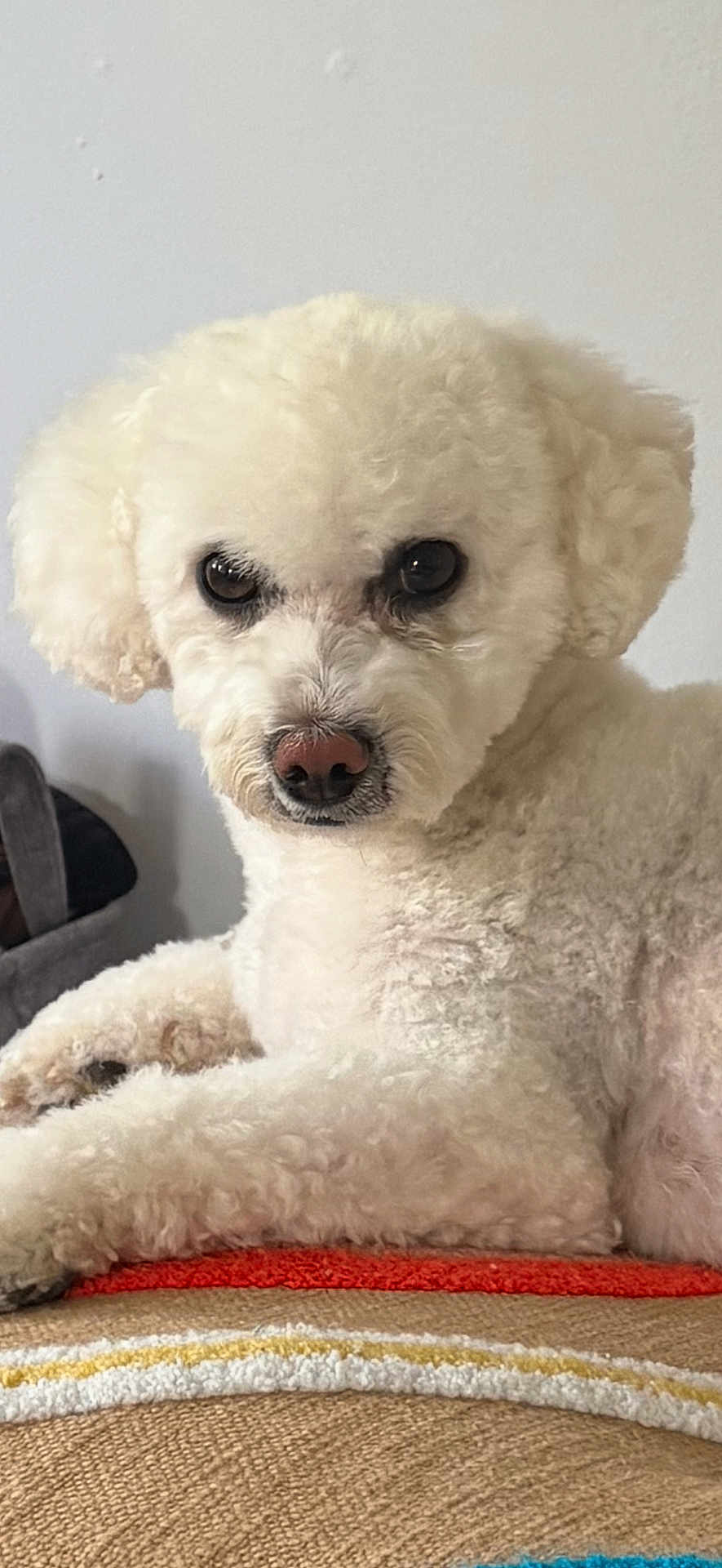 Tilly